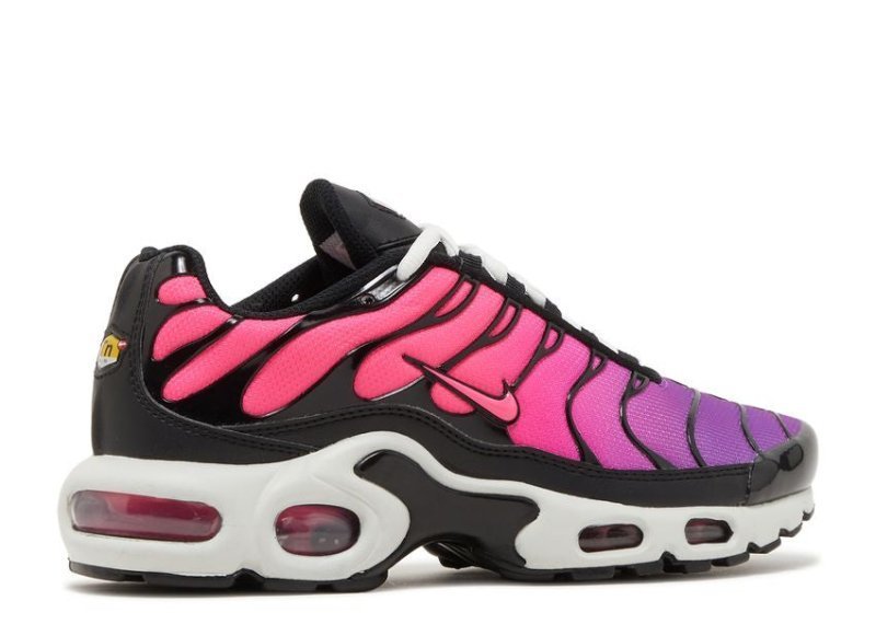 Air Max Plus Dusk - French Destock