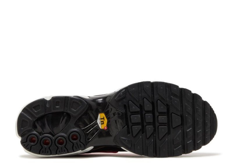 Air Max Plus Dusk - French Destock