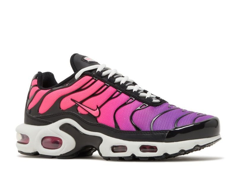 Air Max Plus Dusk - French Destock