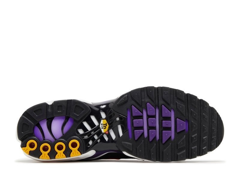 Air Max Plus Voltage Purple - French Destock