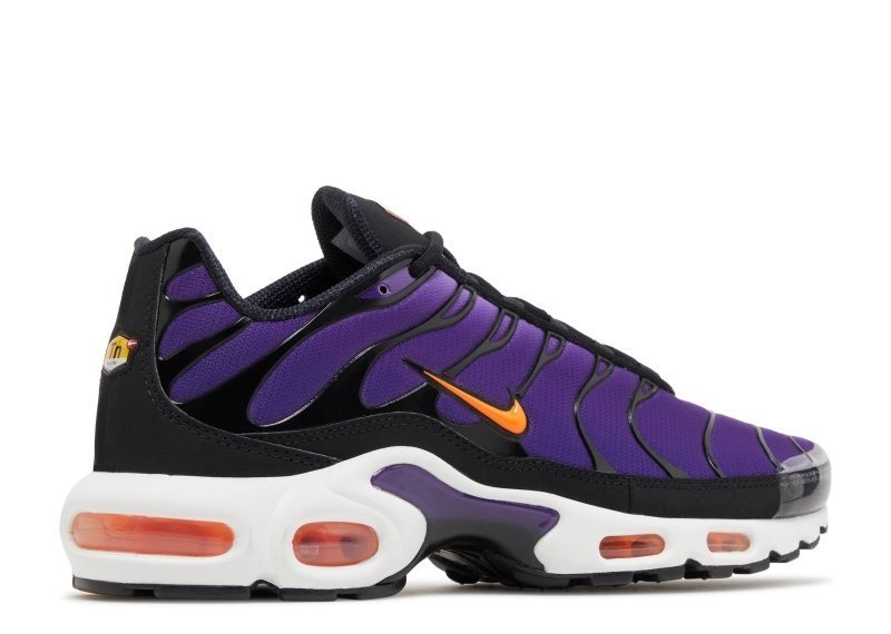 Air Max Plus Voltage Purple - French Destock