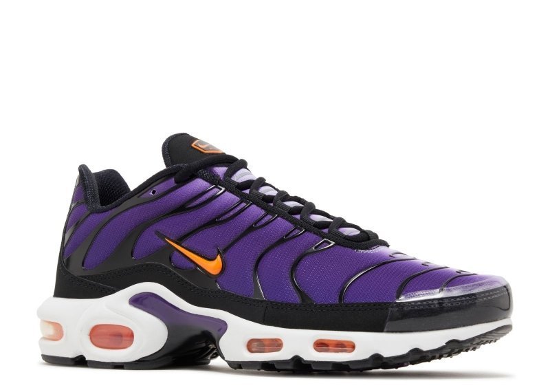 Air Max Plus Voltage Purple - French Destock