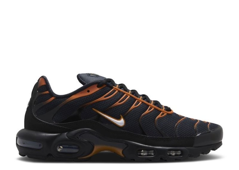 Air Max Plus Dark Obsidian Monarch - French Destock