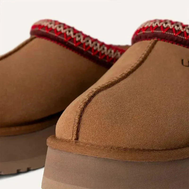 Tazz Chestnut - French Destock