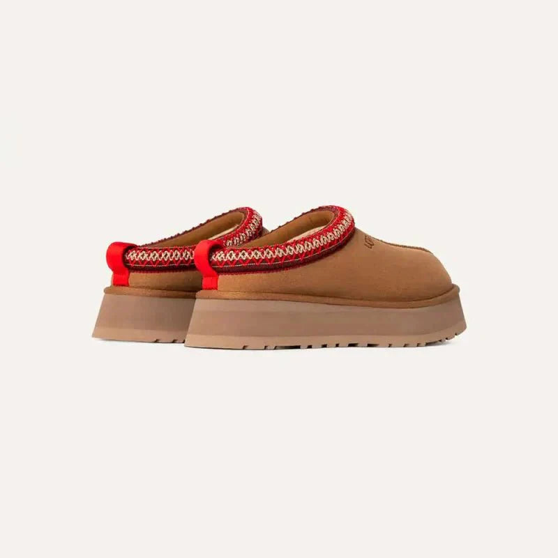 Tazz Chestnut - French Destock